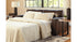 Morelos Queen Sofa Sleeper