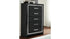 Kaydell King Panel Bed with Storage with Mirrored Dresser and Chest
