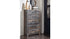 Drystan Queen Panel Bed with 2 Storage Drawers with Mirrored Dresser and Chest