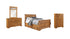 Bittersweet Queen Sleigh Bed with 2 Storage Drawers with Mirrored Dresser and Chest