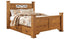 Bittersweet Queen Poster Bed with 2 Storage Drawers with Mirrored Dresser and Chest