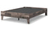 Neilsville Bed