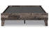 Neilsville Bed