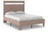 Flannia Bed