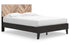 Piperton Bed